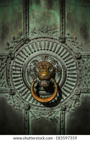 Brass lion doorknocker on an old bronze door