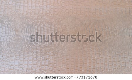 Crocodile Skin