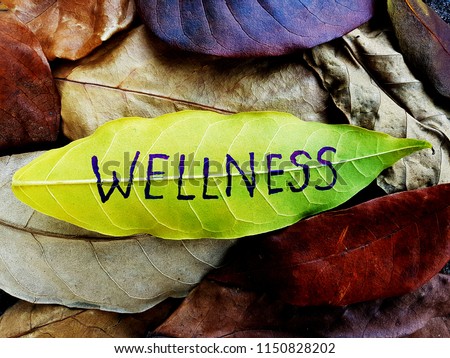 Wellness concept written on leaf Imagine de stoc © 