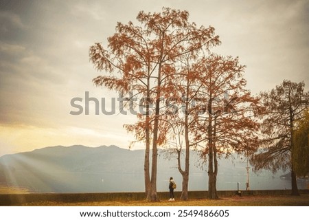 Similar – Image, Stock Photo Anonymous traveler admiring landscape of volcano under cloudy sky