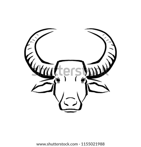 Vector Buffalo Illustration Isolated On White Background