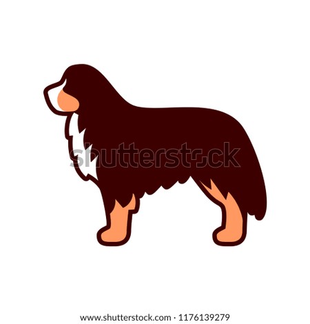 Vector Bernese Mountain Dog Icon Isolated On White Background