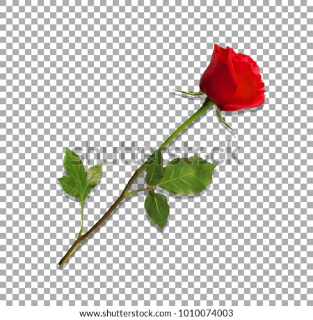 Download Single Red Rose Wallpaper 1920x1080 | Wallpoper #447142