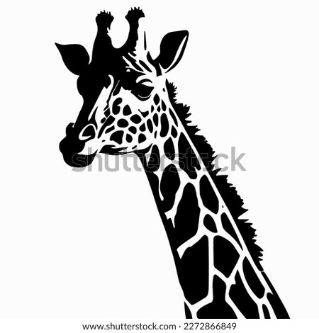 Silhouette of giraffe head and neck black on white background. Vector african animal, concept for savannah safari, tattoo design, isolated icon with giraffe animal face in simple style, decal, sticker