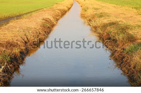 ditch of water use in rice farming