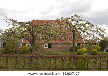 Typical Dutch farmhouse with trained trees