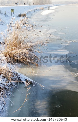 Frozen river with plants and people in the background walking