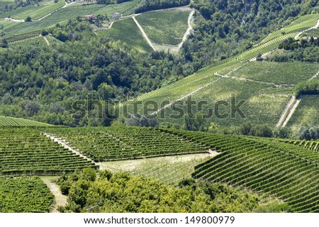 View on vineyards near Serralunga. Typical Italian landscape.