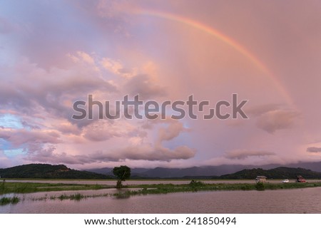 late afternoon rainbow over paddy field with dramatic cloud