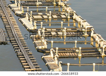 Local popular Asian fish farm cage for sustainable fish supply.