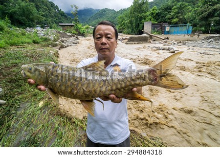 Kota Belud Sabah Malaysia - June 16, 2015 : Unidentified villager showing dead freshwater fish called Pelian during mud poluted river flood due to soil errosion at upstream cause by earthquake.