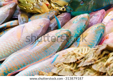 Parrotfish at restaurant display ready to be cook for dinner.