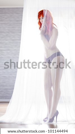 Pretty girl covered in a net curtain