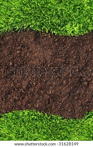 grass and soil background, similar available in my portfolio
