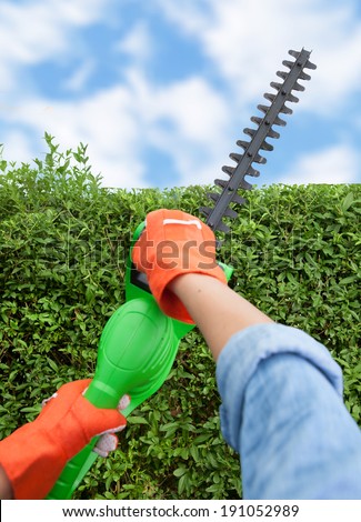 Woman trimming bushes using an electrical hedge trimmer, gardening concept
