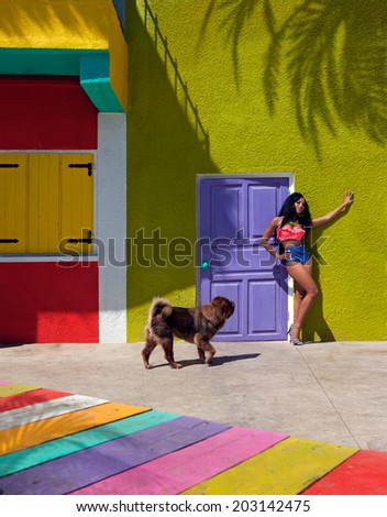 Attractive bikini model with dog , tropical travel holiday concept