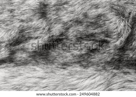 abstract fluffy texture of shaggy soft gray fur fabric for pure backgrounds
