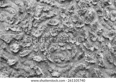 abstract texture of light gray fur fabric with curls for background surfaces and for wallpaper