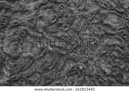 texture of abstract black-haired fur fabric with ringlets and curls for background surfaces and for wallpaper