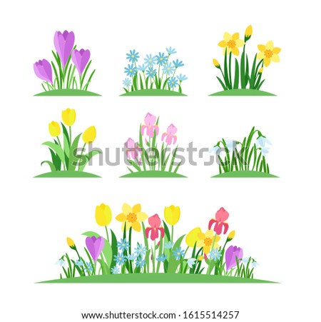 Image, Stock Photo Narcissus bush with green leaves and yellow flower in the garden