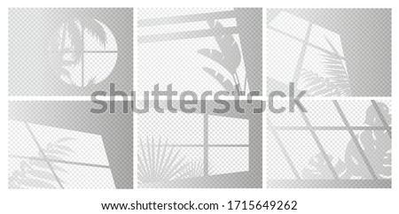 Window lights vector illustration set. Sunlight or shadow transparent overlay effect from window frames and tropical plant branch, palm tree leaves on room wall, ceiling or floor. Realistic background