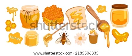 Set of honey products. Jar of honey, bee insect, honey dipper, honeycomb, natural organic product, healthy sweet food, sugar dessert, melting honey on bread vector illustration