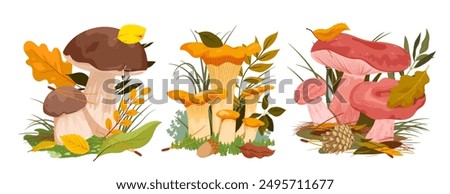 Mushrooms family growing in autumn forest soil with green leaf and twigs of trees set. Cute group of wild mushrooms in different sizes and acorn, oak leaves and grass cartoon vector illustration