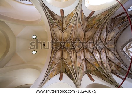 a whole view of an acient italian church\'s arched ceiling with remarkable frescoes, shot with the only one actually available  122 degrees  reflex lens