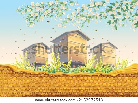 Similar – Foto Bild bees and apiary