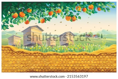 Bee apiary with honeycomb in the foreground against the background of a rural landscape with a village. Vector illustration.