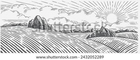 Rural landscape with hills, in the graphical style, illustration is hand-drawn.