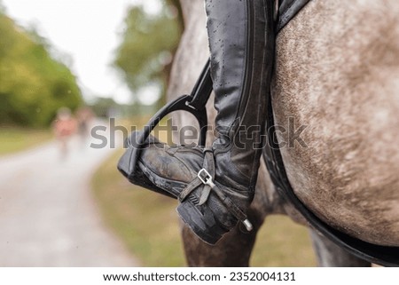 Similar – Image, Stock Photo Woman in jockey outfit standing with horse