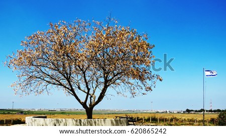 Similar – Foto Bild Ein erotisches Bild eines nackten Mädchens, das mit einer Girlande posiert. Grüne Blätter und orangefarbene Blumen umgeben sie. Oben ohne Mädchen, ihre perfekten nackten Kurven und die Wildnis im Allgemeinen. Die ewige Schönheit des nackten Frauenkörpers. Darum geht es in diesem Bild.