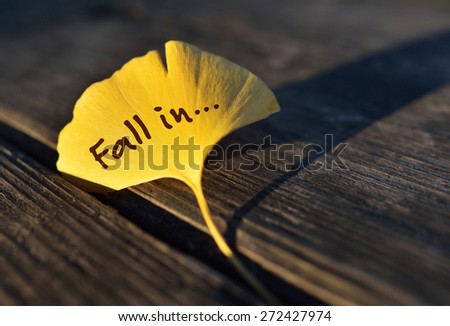 Ginkgo leave in autumn season / Image that fall / Fall In Something?