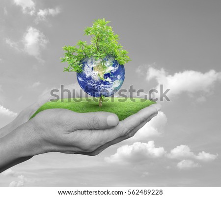 save trees save the world-essay save trees save the world-essay