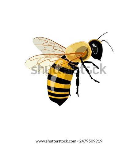 Honey Bee Icon Close Up Isolated on White Background. Queen Honey Bee Design Template, Vector Illustration