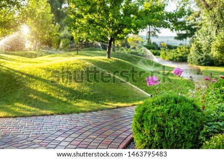 Similar – Image, Stock Photo Different flowers in water on table in workshop