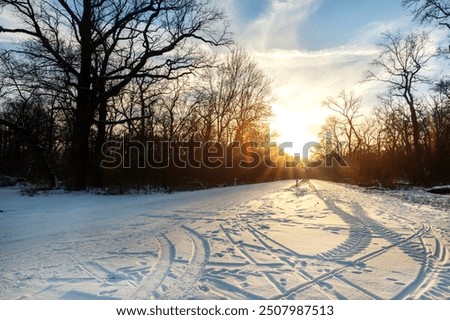 Similar – Image, Stock Photo Shadow of a bare tree on an orange house wall that continues beyond the corner of the house / shadow play