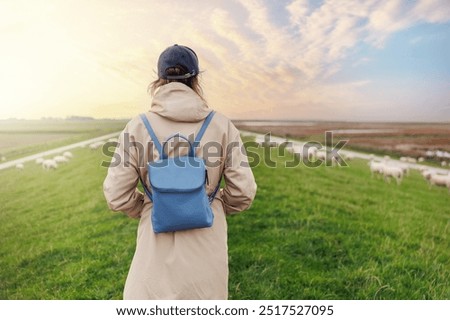 Similar – Image, Stock Photo Wadden Sea Environment