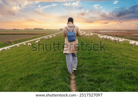 Image, Stock Photo Sunset in the Wadden Sea