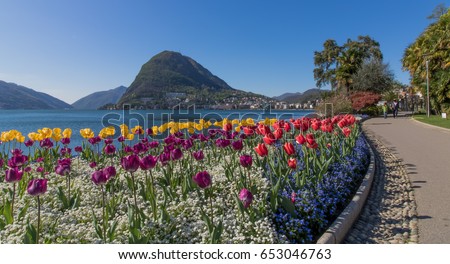 Lugano Switzerland, Park Ciani, Lake Lugano Zdjęcia stock © 