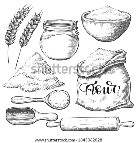 Flour sketch set, vintage food illustration.	
