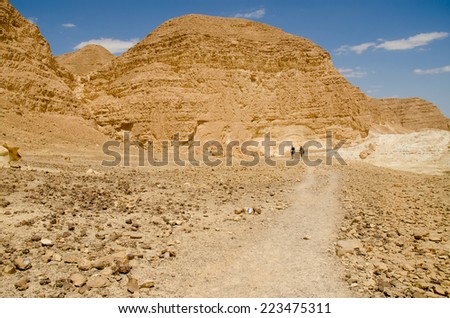 NEGEV DESERT, ISRAEL - CIRCA APRIL,2013 - Two hikers from Europe walking in Negev Desert on Israel National Trail.