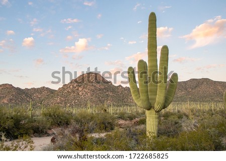 Shutterstock Puzzlepix