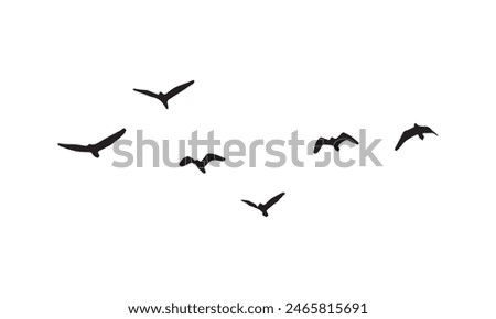 Flying Birds Vector And Illustration. 