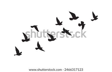 Flying Birds Vector And Illustration. 