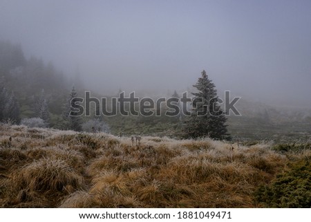 Image, Stock Photo Frosty and foggy morning on the Polish Ochodzita mountain with a view of the Czech Beskydy mountains. Lysa mountain illuminated with orange light. Winter and frosty environment