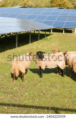 Similar – Image, Stock Photo PV open space plant , photovoltaic open space plant in front of cloudless sky, PV modules