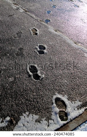 footprint in ice