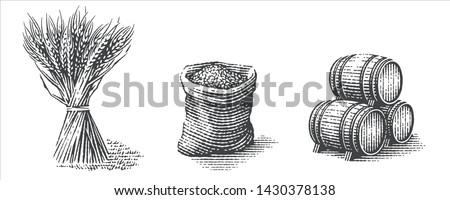 Malt in burlap bag, sheaf of wheat and wood barrels. Hand drawn engraving style illustrations.